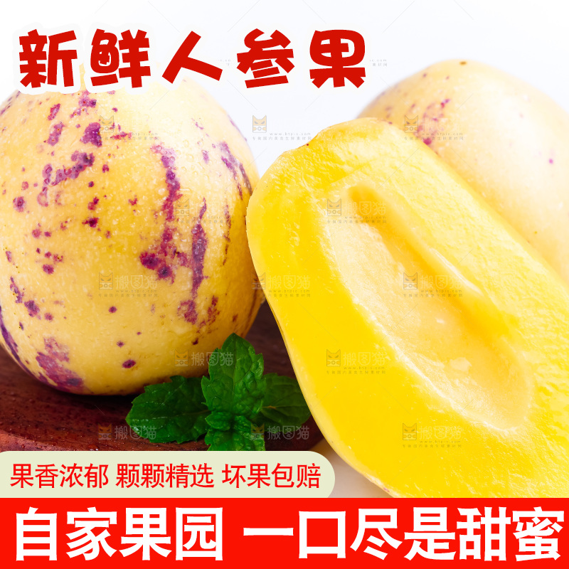 白底上摆放着甘肃民勤人参果