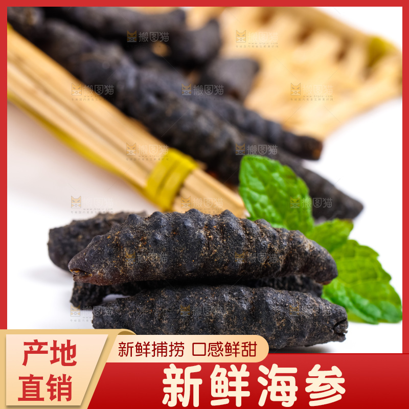 篮子里装着野生海参