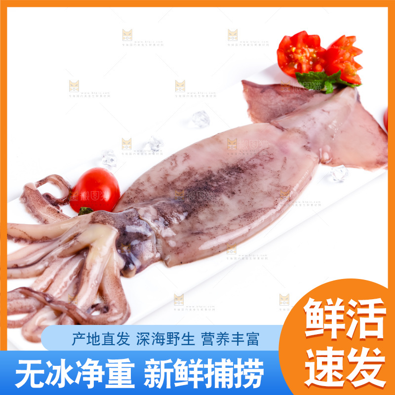 盘子里装着鱿鱼