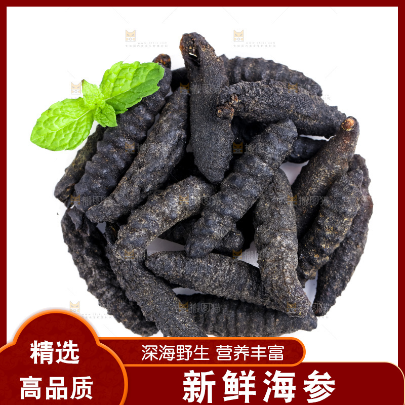 白底上摆放着海刺参