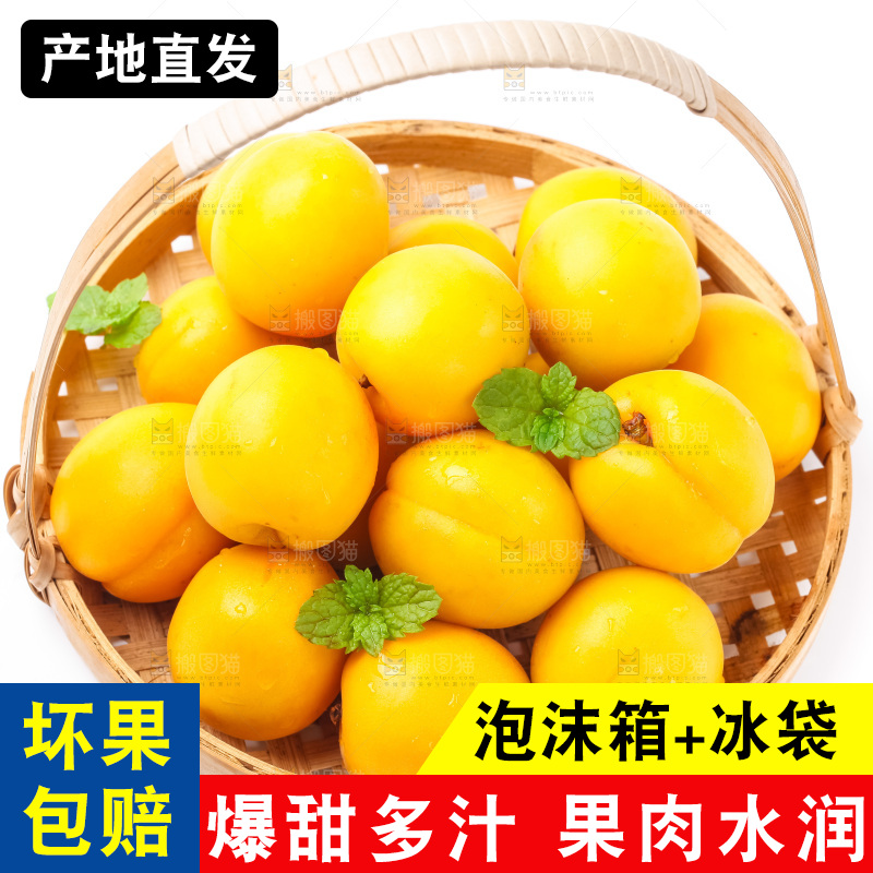 篮子里装着麦黄杏