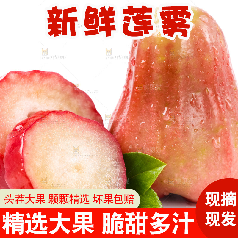 白底上摆放着海南莲雾