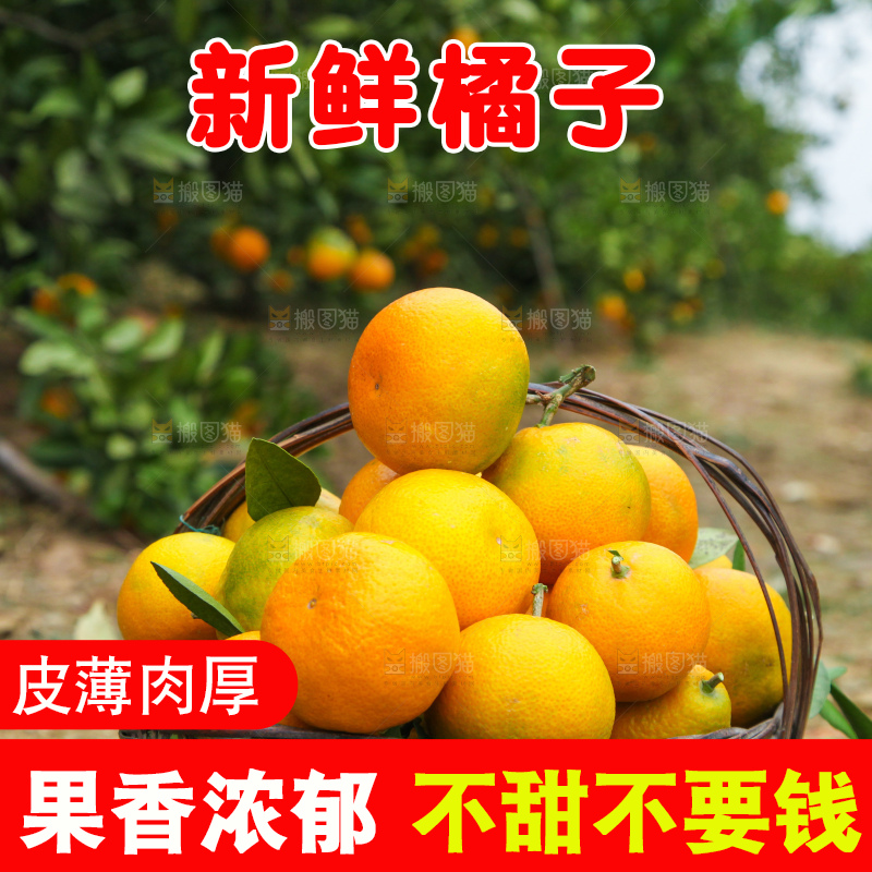 篮子里的蜜橘
