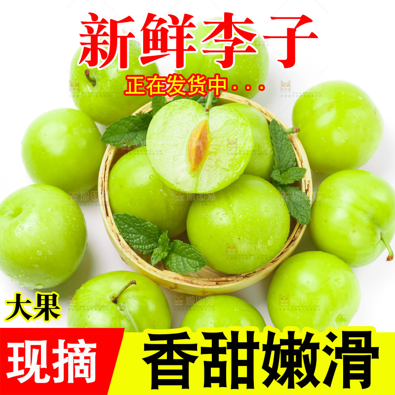 篮子里装着新鲜青李子