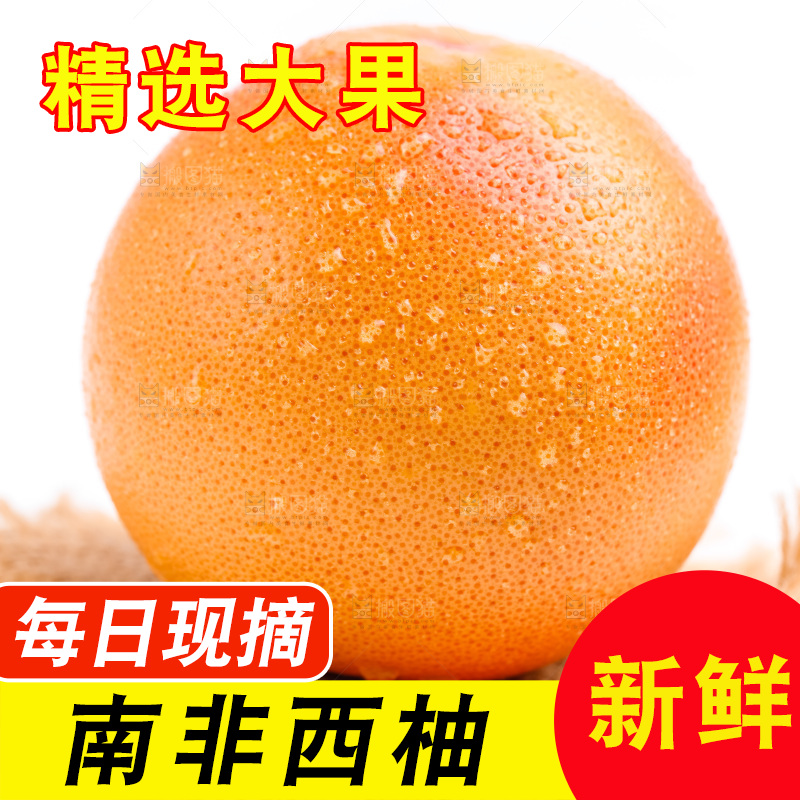 白底上摆放着新鲜西柚