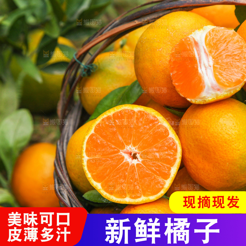 篮子里装着橘子