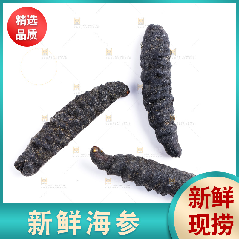 白底上摆放着海参