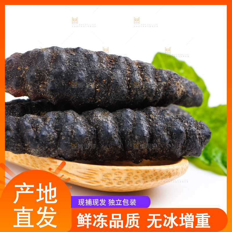 白底上摆放着海参
