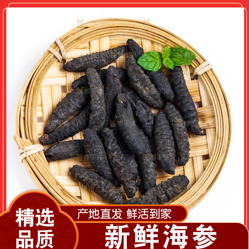 篮子里装着野生海参