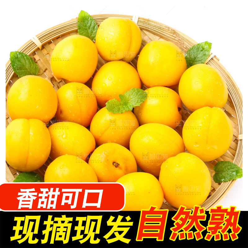 篮子里装着杏子