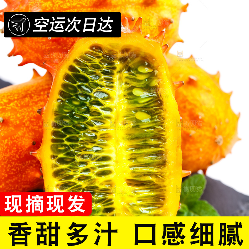 黑石板上放着刺角瓜