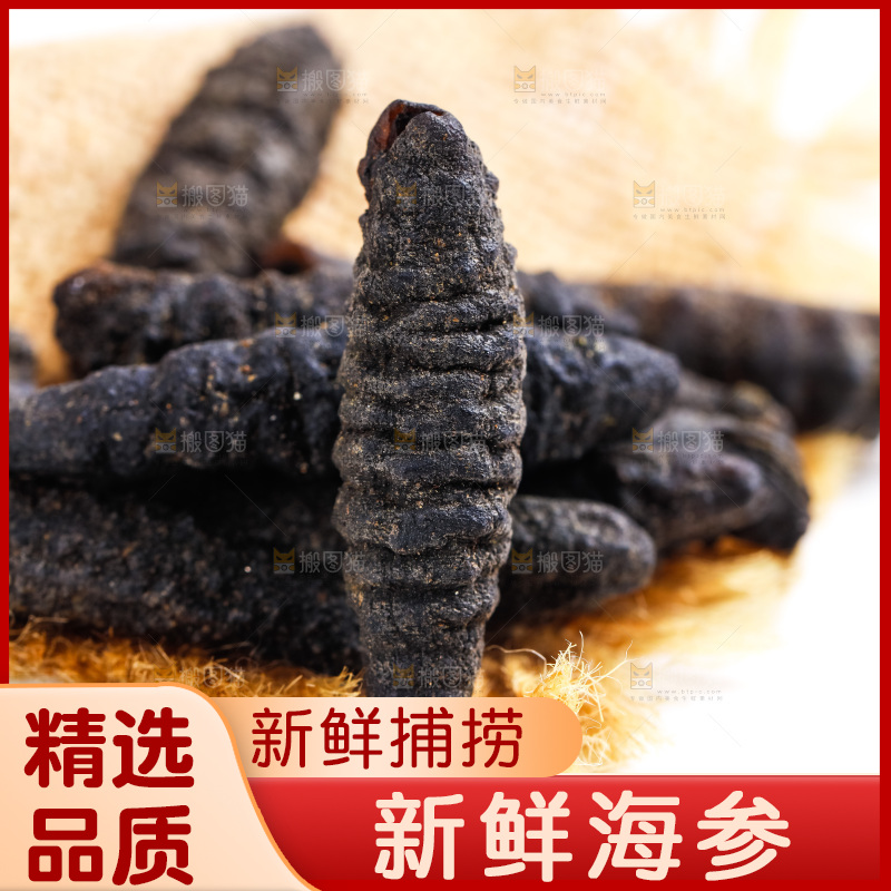 浅底上摆放着海参