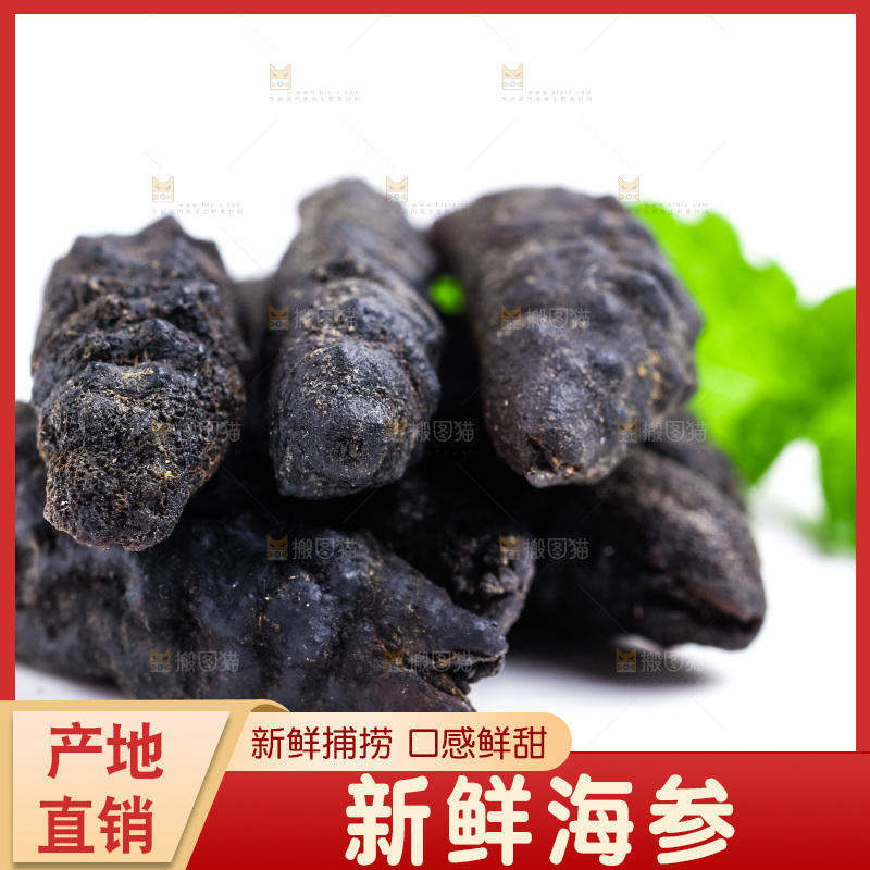 白底上放着干海参