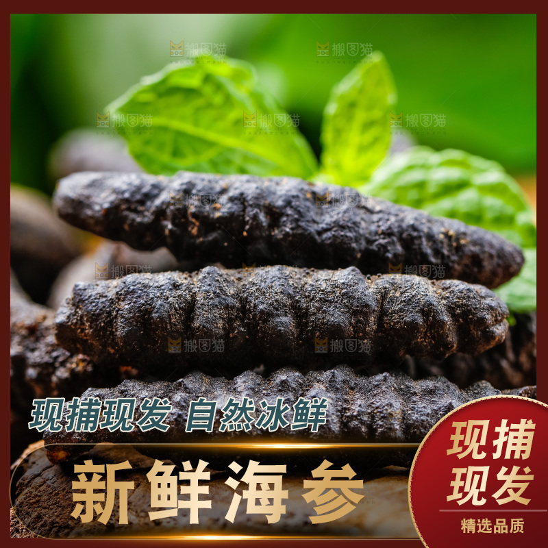 木底上摆放着干海参