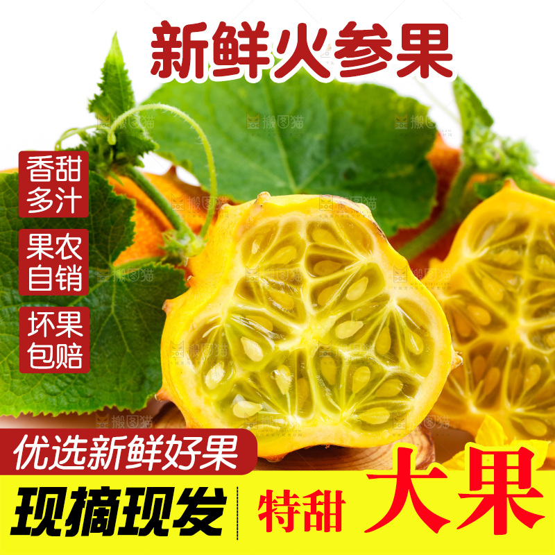 白底上摆放着海参果