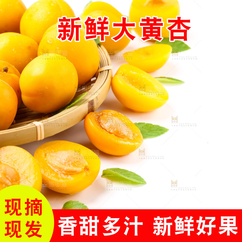 篮子里装着杏子
