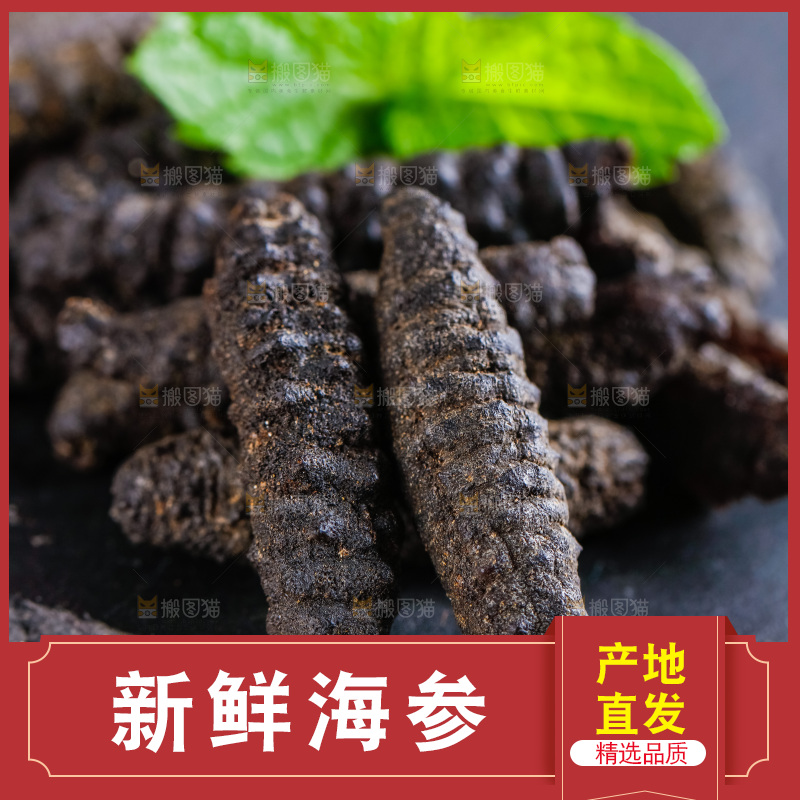 摆放着一堆的海参