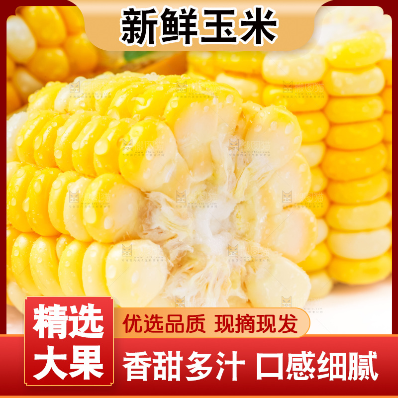 摆放着一堆的甜玉米