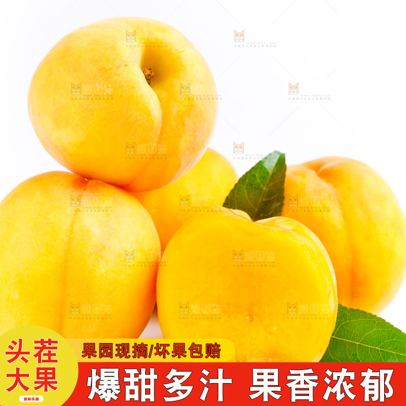 白底上摆放着新鲜黄桃