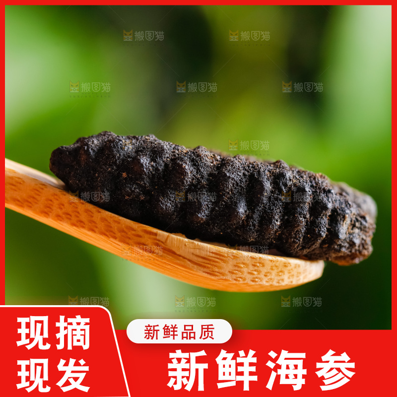 勺子上放着海参