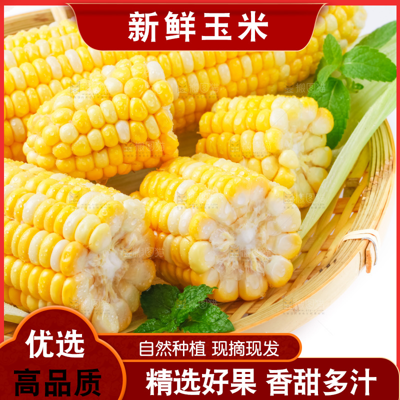 篮子里装着黄玉米