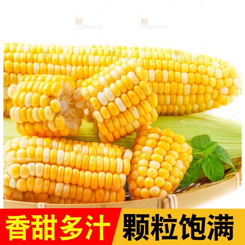 篮子里装着黄玉米