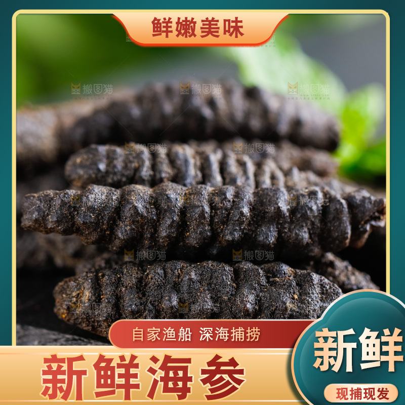 摆放着一堆的海参
