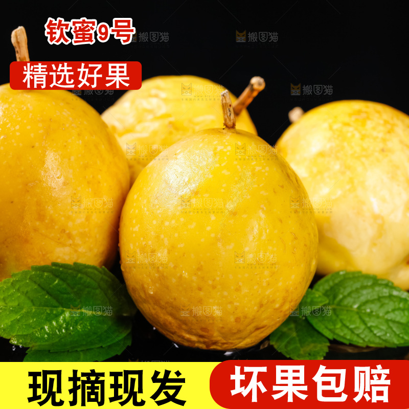黑底上摆放着广西黄金百香果