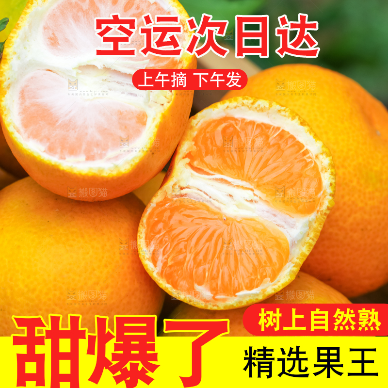 篮子里装着蜜橘