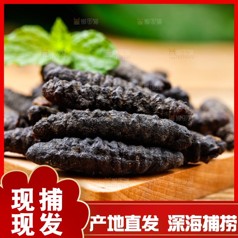 木底上摆放着海刺参