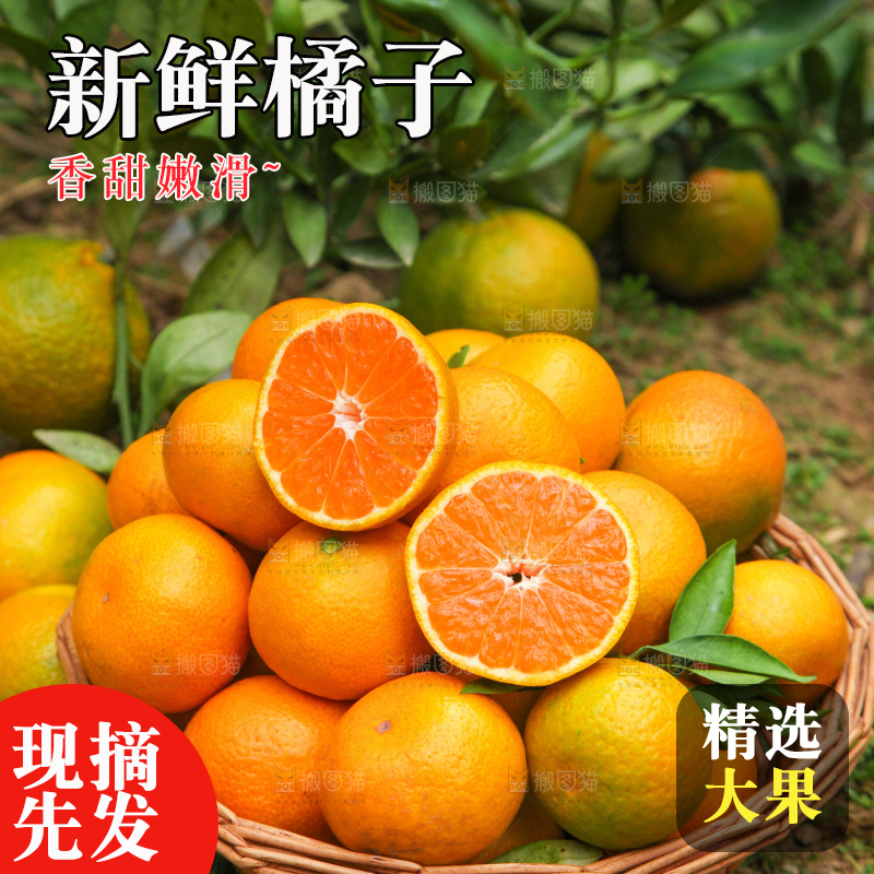 篮子里装着橘子