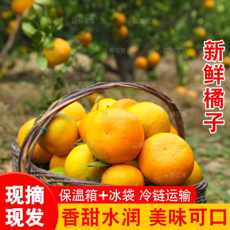 篮子里的蜜橘