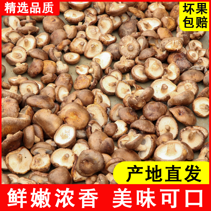 地上晒着香菇