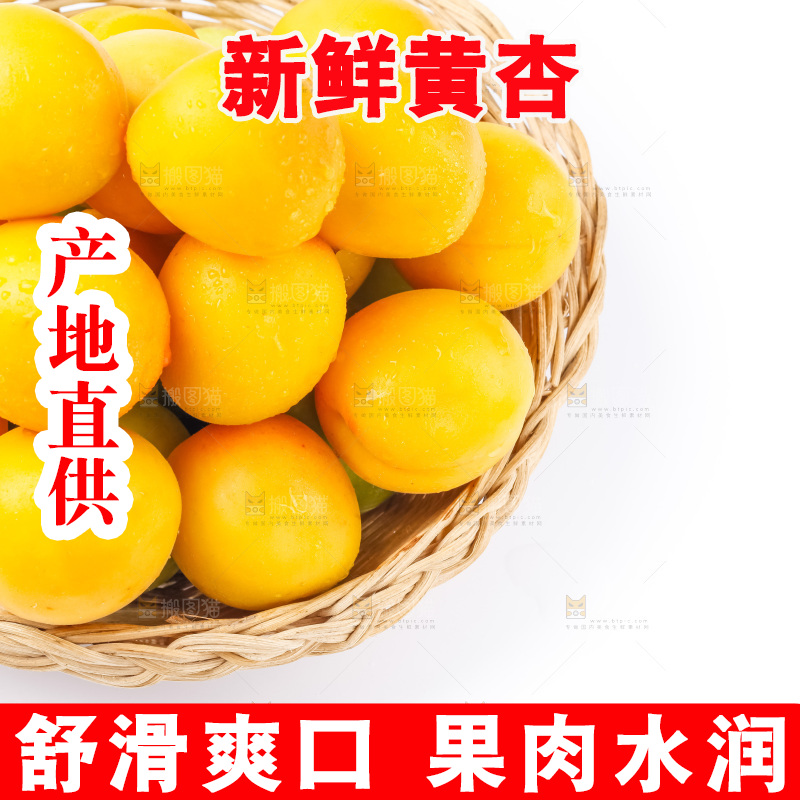 篮子里装着黄杏
