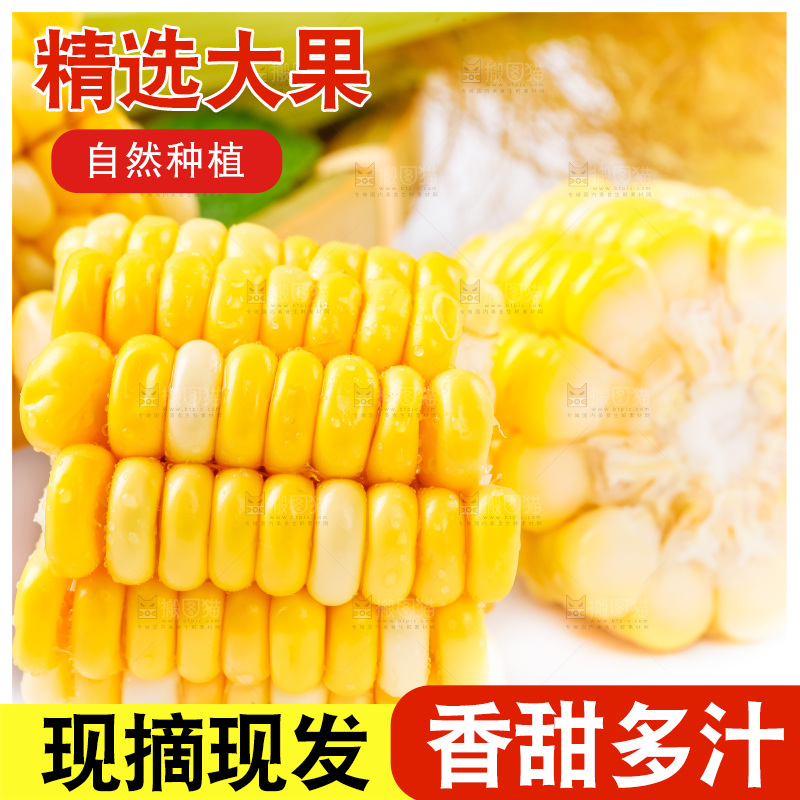摆放着一堆的甜玉米