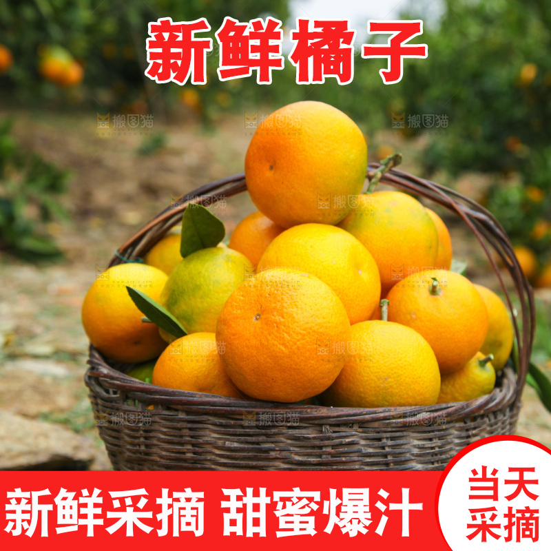 篮子里的蜜橘