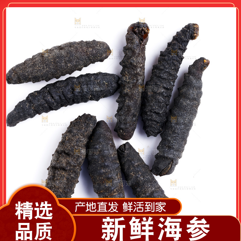 白底上摆放着刺参