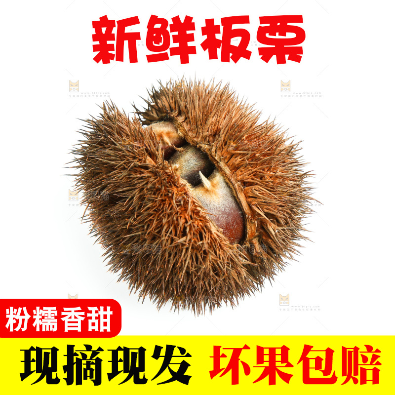 白底上放着板栗