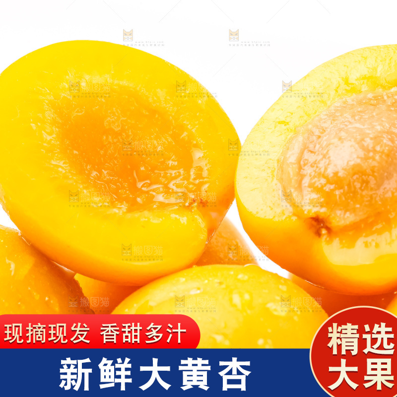 白底上放着大黄杏