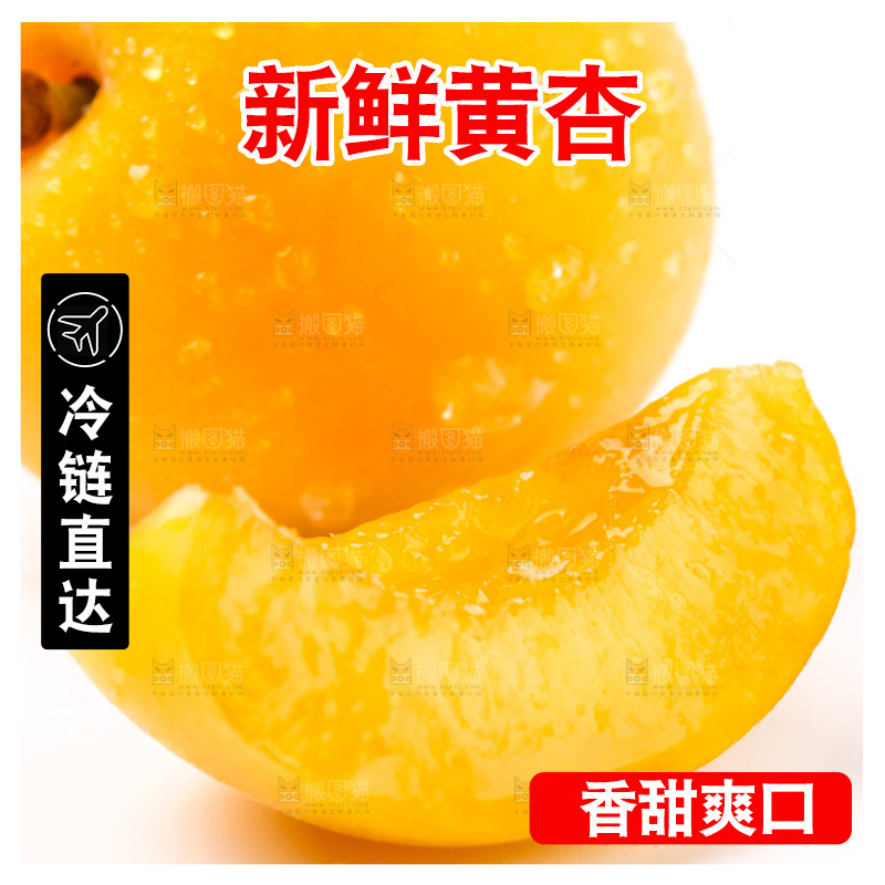 白底上摆放着麦黄杏