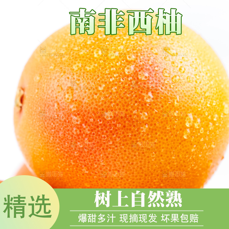 白底上摆放着南非西柚