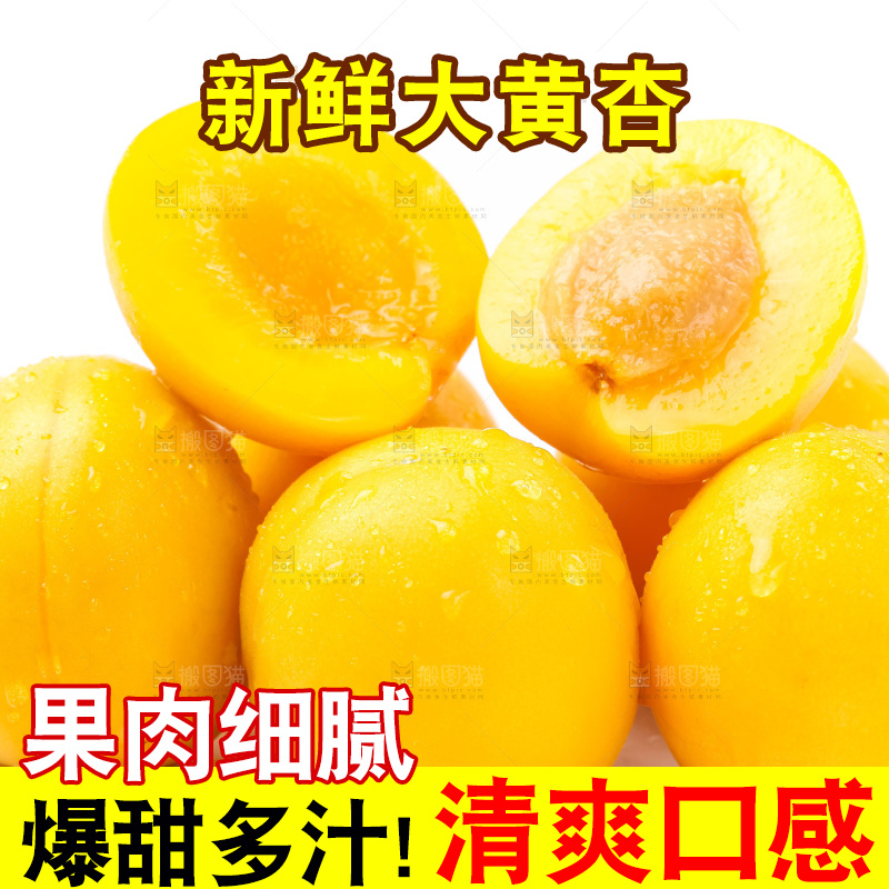 白底上放着大黄杏