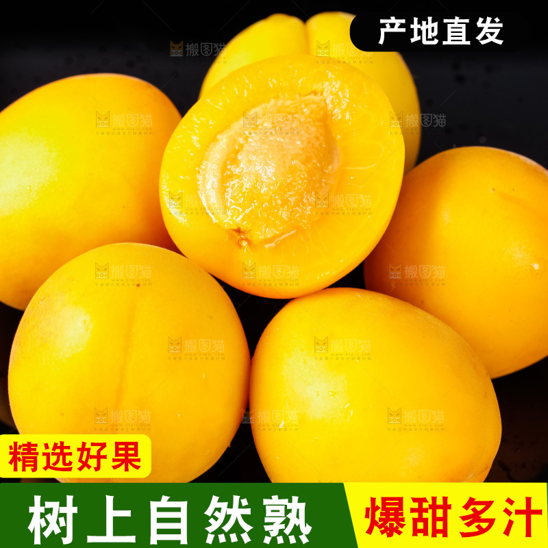 黑底上摆放着新鲜麦黄杏