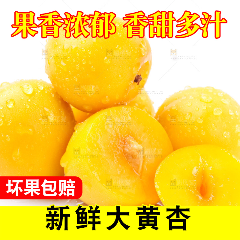 白底上放着大黄杏