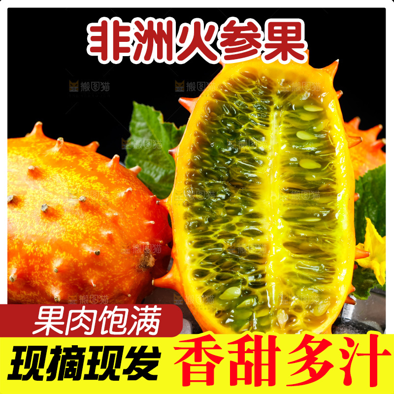 冰块上摆放着刺角瓜