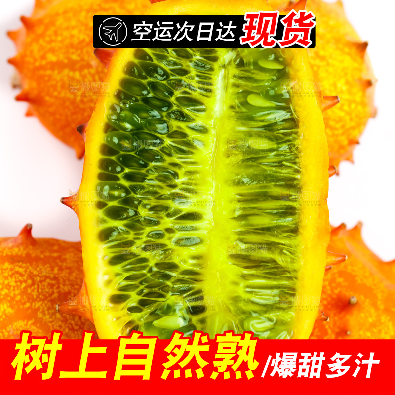 白底上的刺角瓜