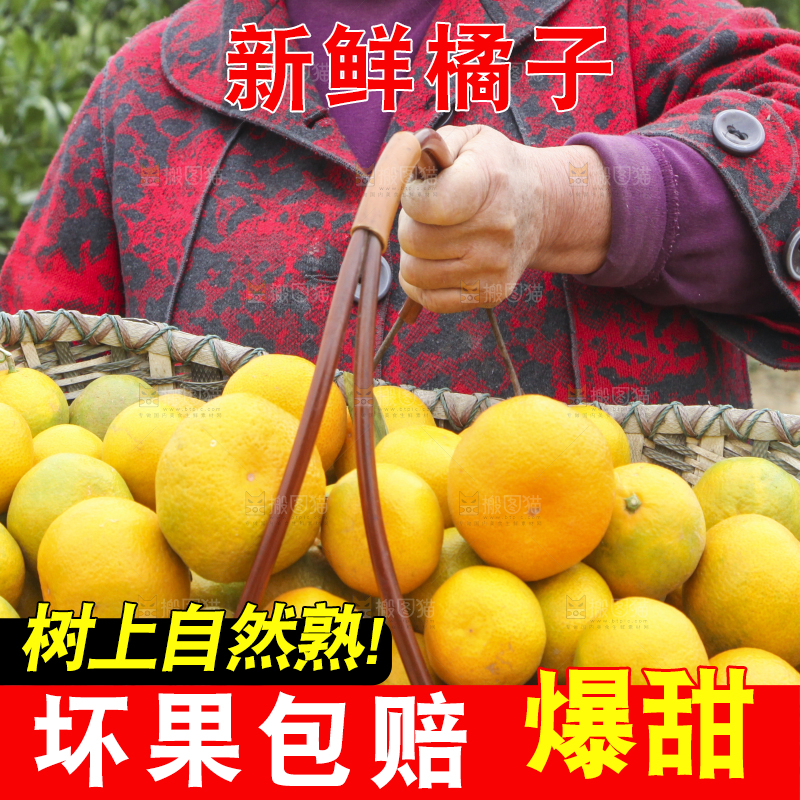 篮子里装着橘子
