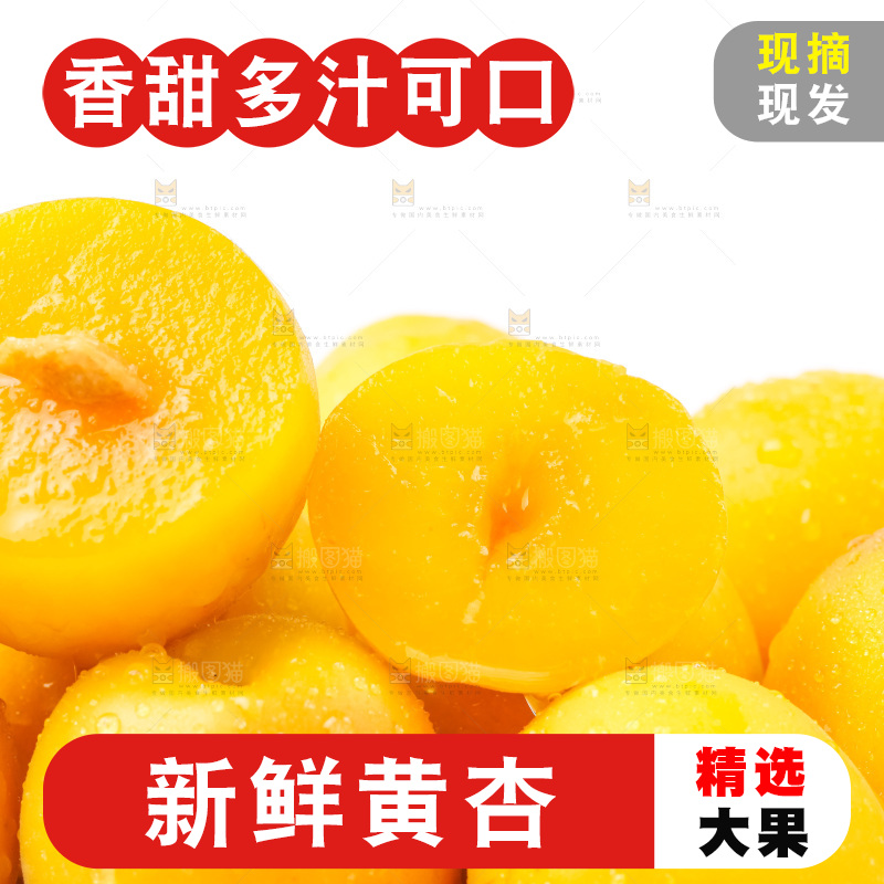 白底上放着大黄杏
