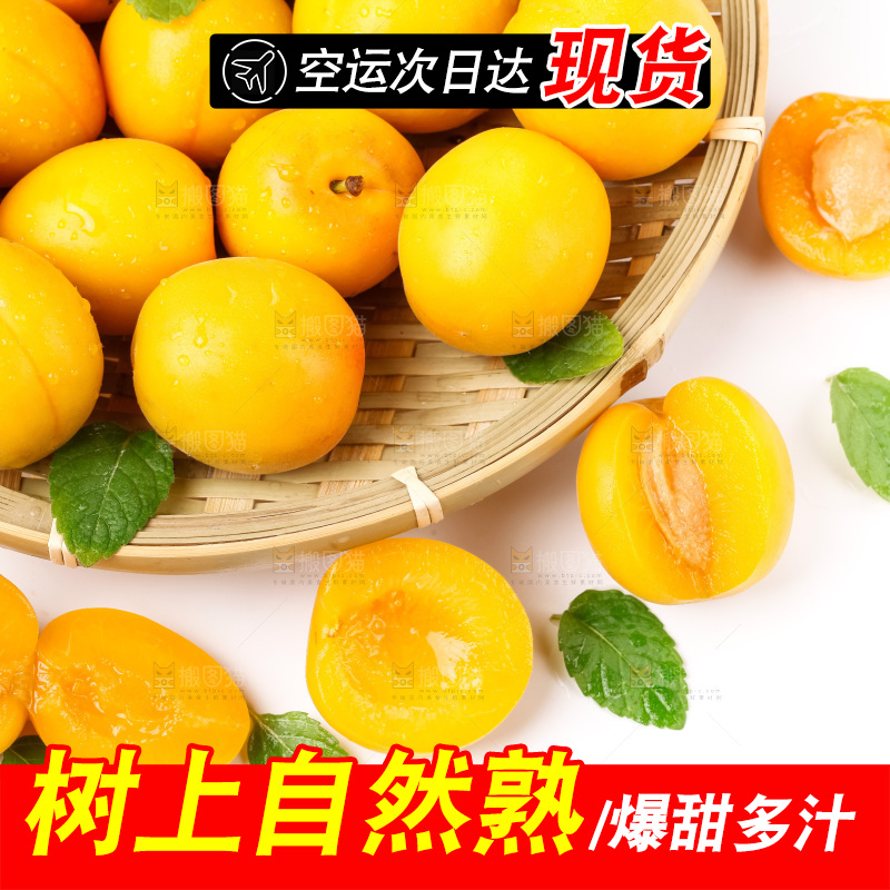 篮子里装着杏子