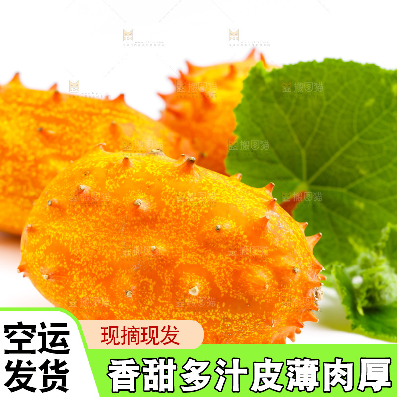 白底上摆放着海参果